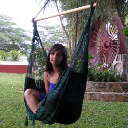 Svart H&auml;ngstol i N&auml;t