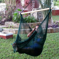 Svart H&auml;ngstol i N&auml;t