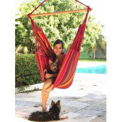 PRO Guatemalamix H&auml;ngstol