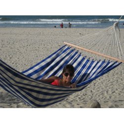 The Tropical Hammock